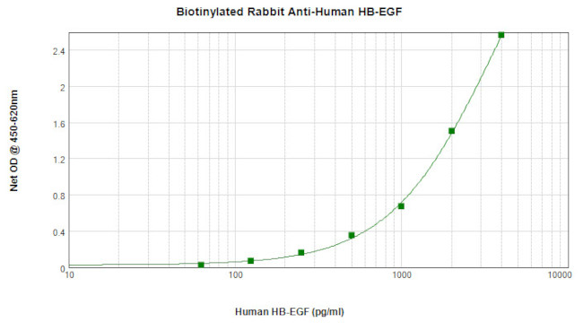 HBEGF Antibody in ELISA (ELISA)