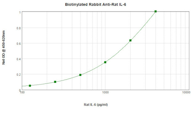 IL-6 Antibody in ELISA (ELISA)