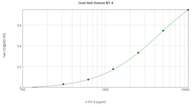 NTF4 Antibody in ELISA (ELISA)