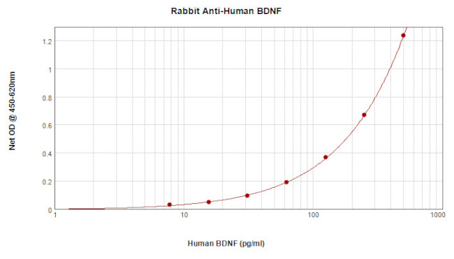 BDNF Antibody in ELISA (ELISA)
