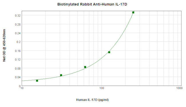 IL17D Antibody in ELISA (ELISA)