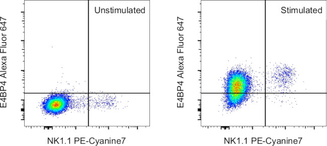 E4BP4 (NFIL3) Antibody in Flow Cytometry (Flow)