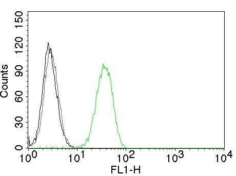CD31/PECAM-1 (Endothelial Cell Marker) Antibody in Flow Cytometry (Flow)