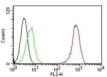 CD31/PECAM-1 (Endothelial Cell Marker) Antibody in Flow Cytometry (Flow)