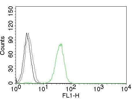 CD31/PECAM-1 (Endothelial Cell Marker) Antibody in Flow Cytometry (Flow)