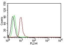 Cyclin D1 (G1-Cyclin and Mantle Cell Marker) Antibody in Flow Cytometry (Flow)