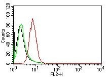 Cyclin D1 (G1-Cyclin and Mantle Cell Marker) Antibody in Flow Cytometry (Flow)