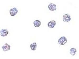 MPYS Antibody in Immunocytochemistry (ICC/IF)