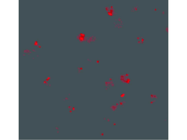 PEN2 Antibody in Immunocytochemistry (ICC/IF)