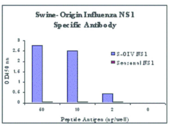 Swine H1N1 Nonstructural Protein 1 Antibody in ELISA (ELISA)