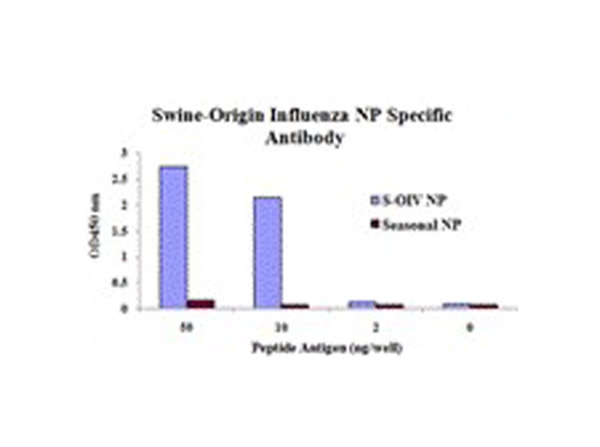 Swine H1N1 Nucleocapsid Protein Antibody in ELISA (ELISA)