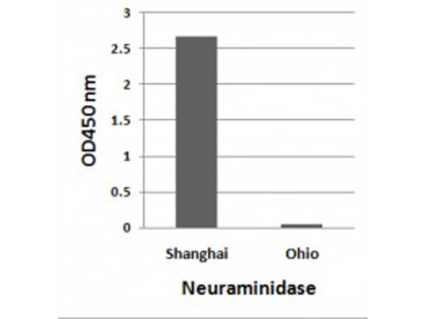 Avian Influenza A H7N9 Neuraminidase Antibody in ELISA (ELISA)