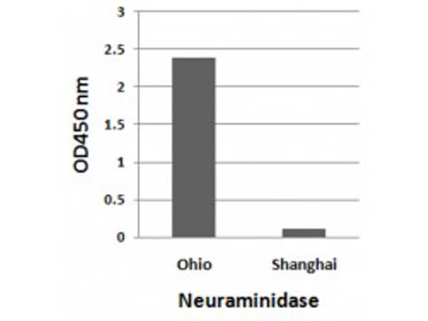 Avian Influenza A H7N9 Neuraminidase Antibody in ELISA (ELISA)