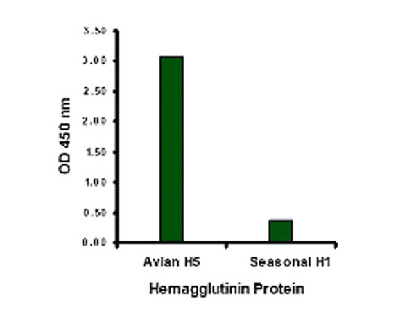 Avian Influenza Hemagglutinin Antibody in ELISA (ELISA)