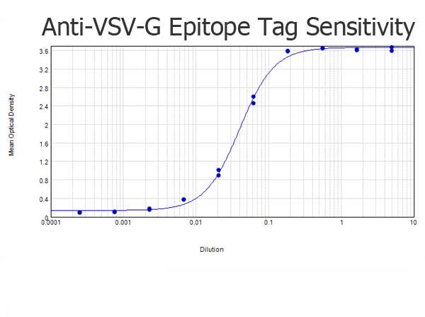 VSV-G Epitope Tag Antibody in ELISA (ELISA)