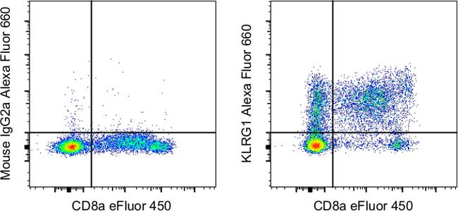 KLRG1 Antibody in Flow Cytometry (Flow)