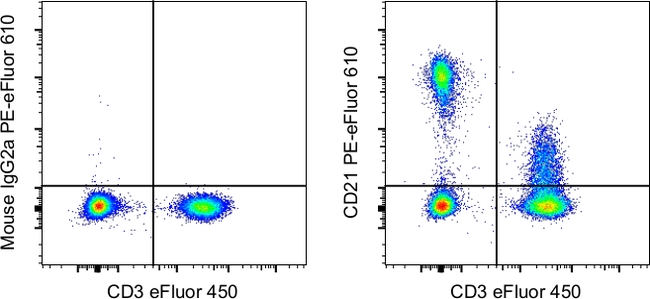CD21 Antibody in Flow Cytometry (Flow)