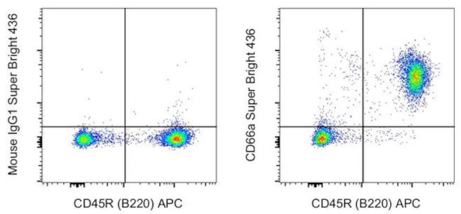 CD66a (CEACAM1) Antibody in Flow Cytometry (Flow)