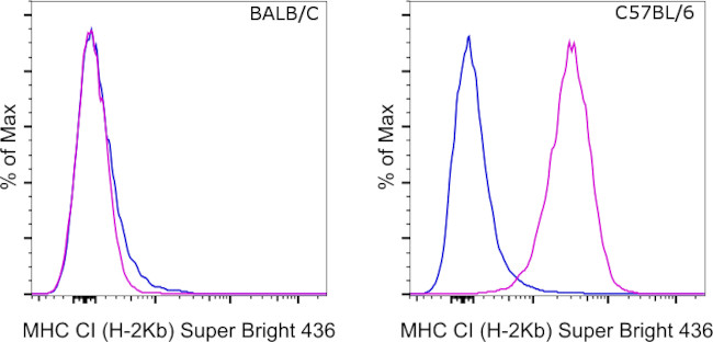 MHC Class I (H-2kb) Antibody in Flow Cytometry (Flow)