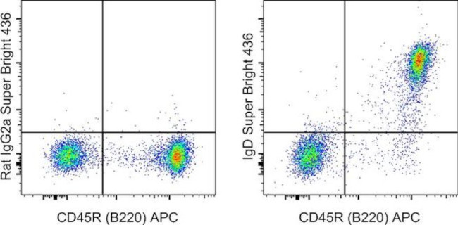 Mouse IgD Antibody in Flow Cytometry (Flow)