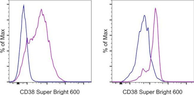 CD38 Antibody in Flow Cytometry (Flow)