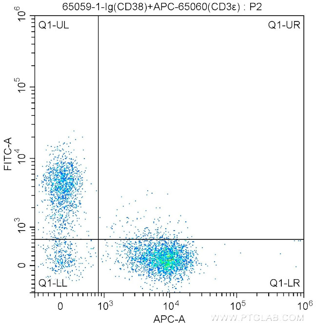 CD38 Antibody in Flow Cytometry (Flow)