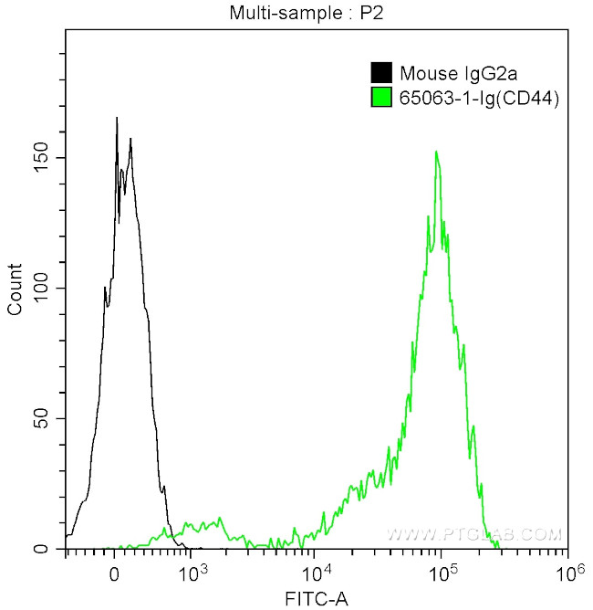 CD44 Antibody in Flow Cytometry (Flow)