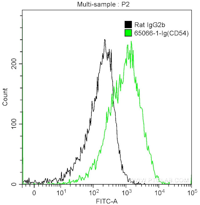 CD54 Antibody in Flow Cytometry (Flow)