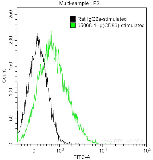 CD86 Antibody in Flow Cytometry (Flow)