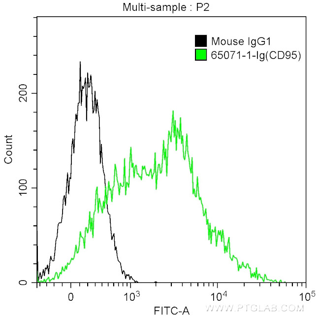 CD95 Antibody in Flow Cytometry (Flow)
