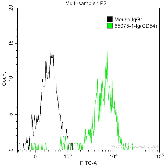 CD54 (ICAM-1) Antibody in Flow Cytometry (Flow)