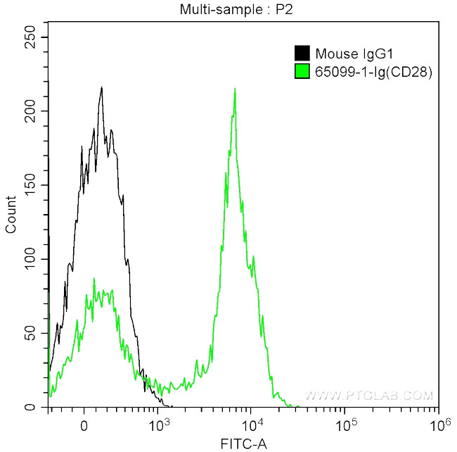 CD28 Antibody in Flow Cytometry (Flow)