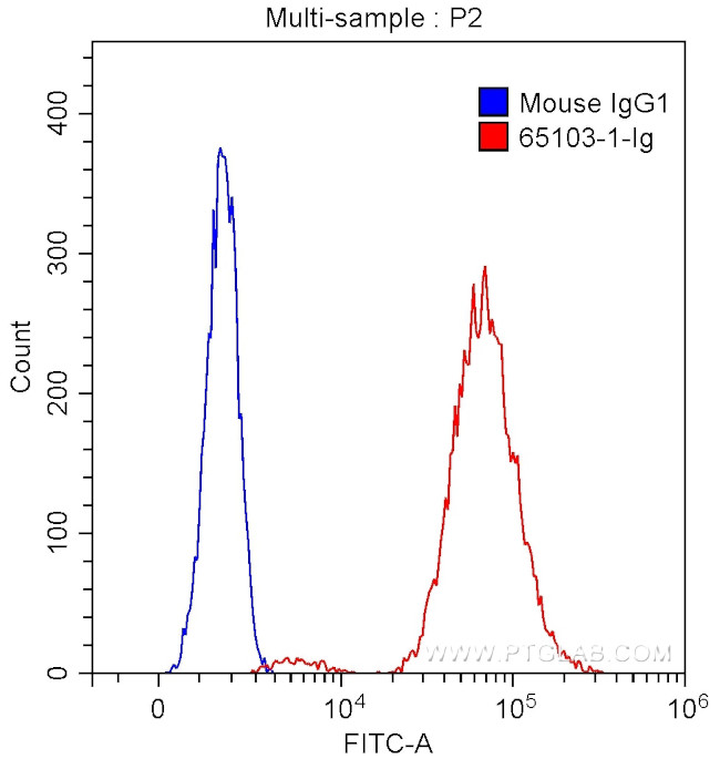 CD40 Antibody in Flow Cytometry (Flow)