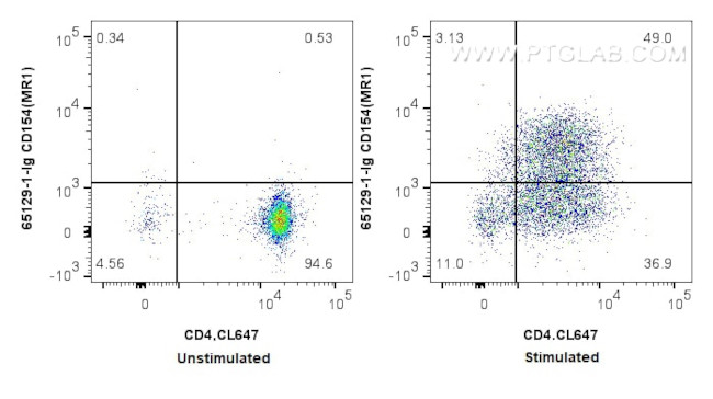 CD40L/CD154 Antibody in Flow Cytometry (Flow)