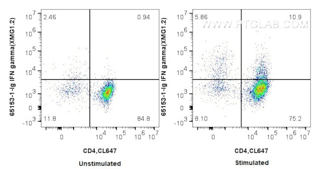 IFN gamma Antibody in Flow Cytometry (Flow)