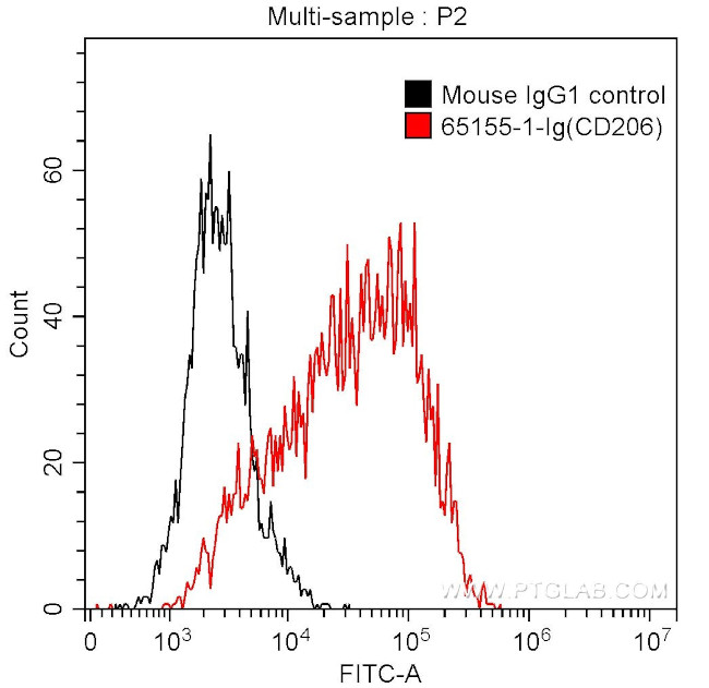 CD206 Antibody in Flow Cytometry (Flow)