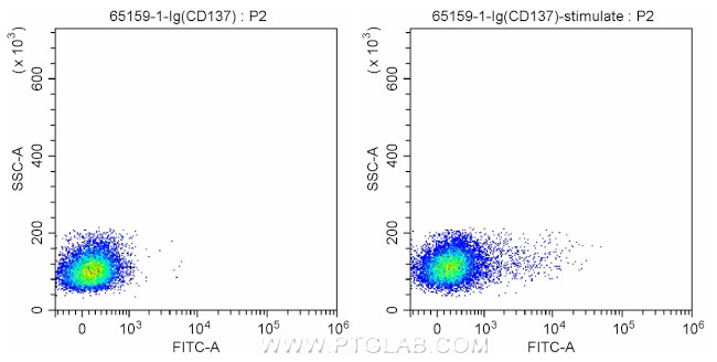 CD137 Antibody in Flow Cytometry (Flow)