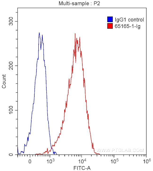 CD86 Antibody in Flow Cytometry (Flow)