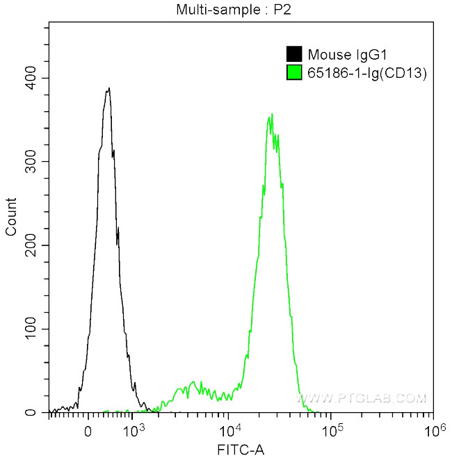 CD13 Antibody in Flow Cytometry (Flow)