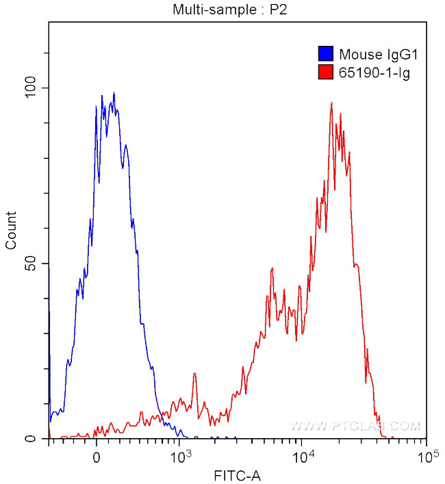 CD18 Antibody in Flow Cytometry (Flow)