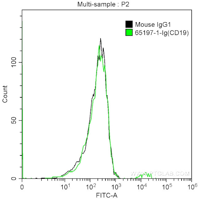 CD19 Antibody in Flow Cytometry (Flow)