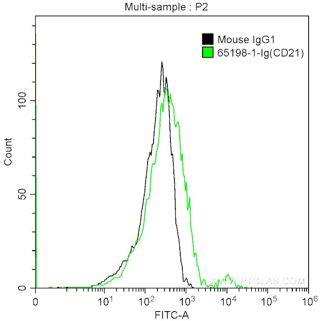CD21 Antibody in Flow Cytometry (Flow)