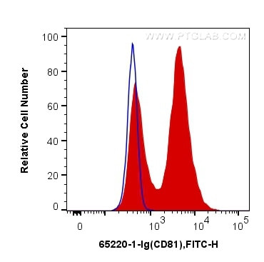 CD81 Antibody in Flow Cytometry (Flow)