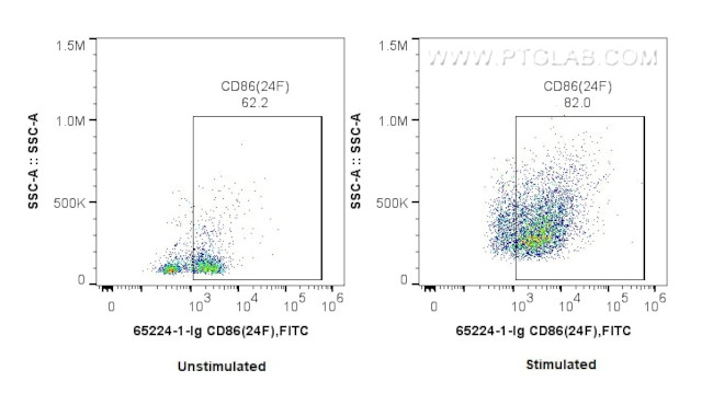 CD86 Antibody in Flow Cytometry (Flow)