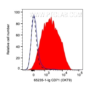 CD71 Antibody in Flow Cytometry (Flow)