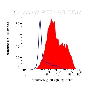GL7 Antibody in Flow Cytometry (Flow)
