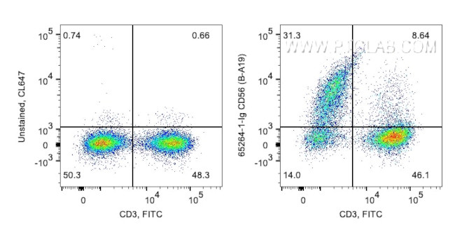 CD56 Antibody in Flow Cytometry (Flow)
