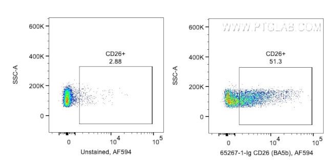 CD26 Antibody in Flow Cytometry (Flow)