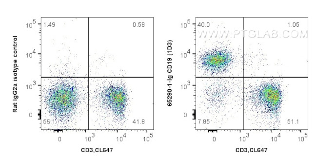 CD19 Antibody in Flow Cytometry (Flow)