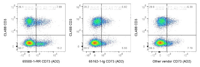 CD73 Antibody in Flow Cytometry (Flow)